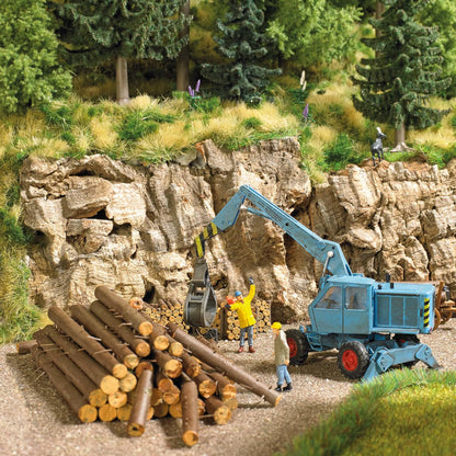 BUS1379 Cut Lumber - Trunks and Log Piles