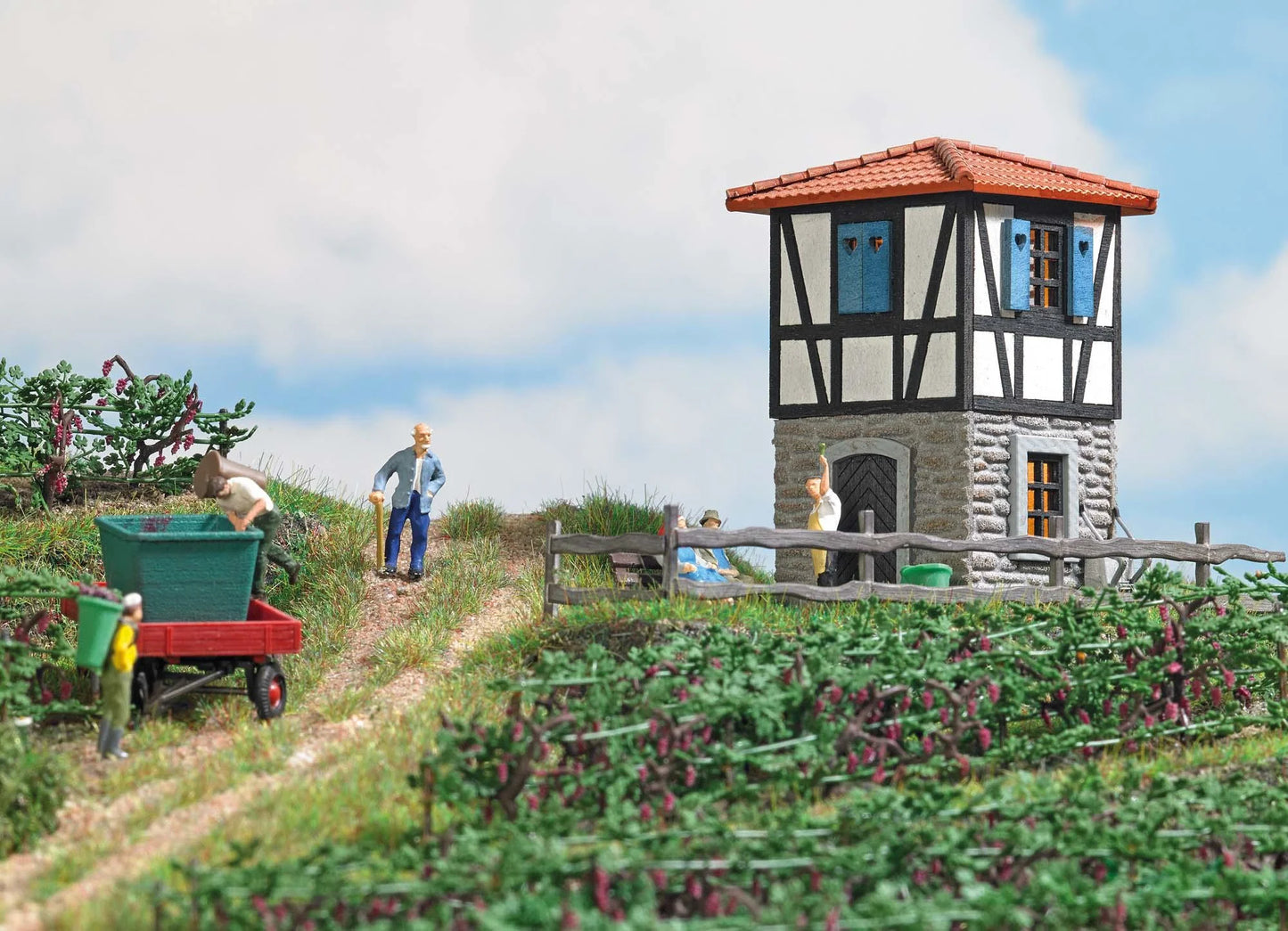 BUS1387 Vineyard cottage