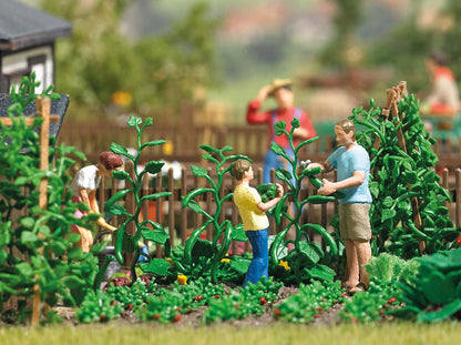 BUS7877 Cucumber harvest