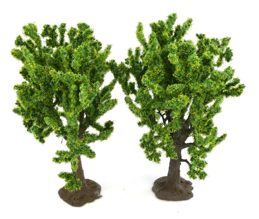 Beech Trees 2pcs