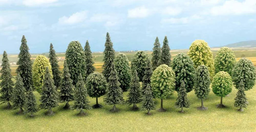 BUS6589 N/TT Mixed Forest Trees