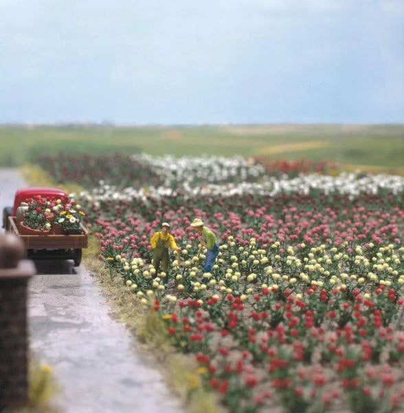 BUS1205 120 Roses