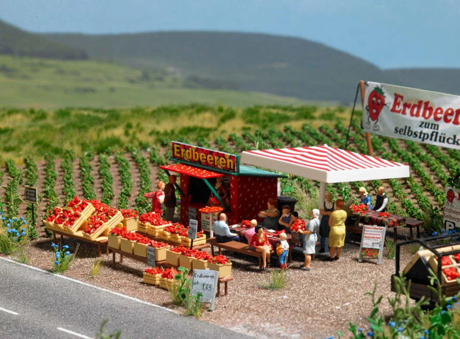 BUS1073 Strawberry Sales Stand