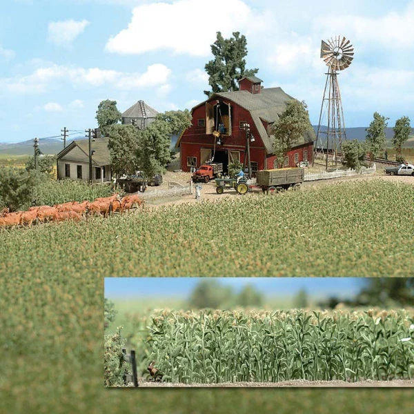 BUS1202 Cornfield