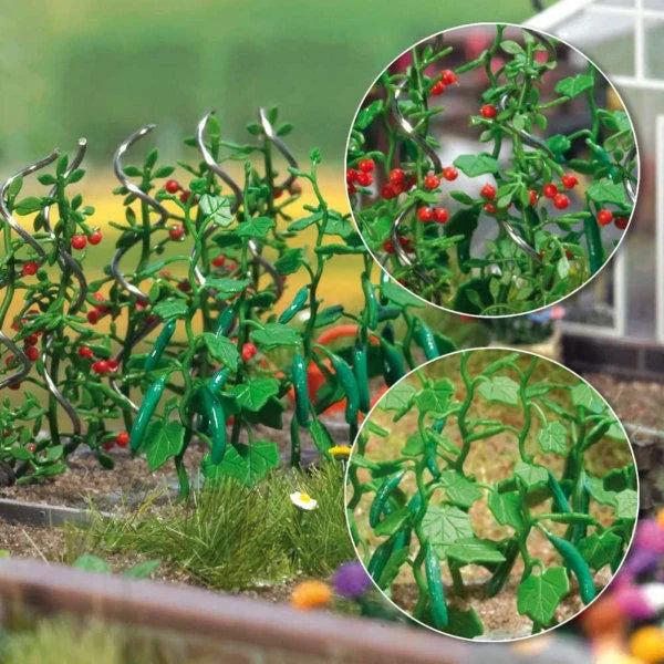 BUS1214 Cucumber & tomato Plants