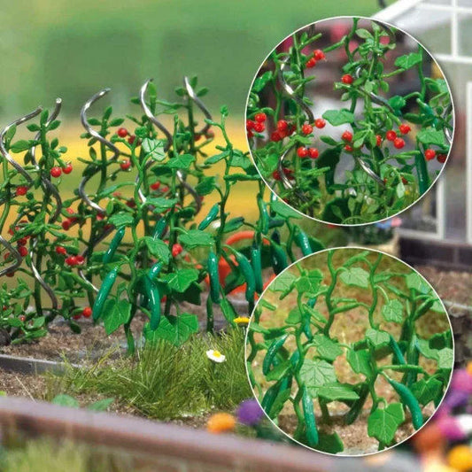 BUS1214 Cucumber & tomato Plants