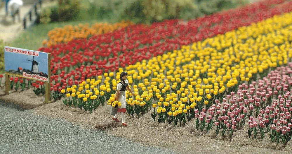 BUS1206 120 Tulips
