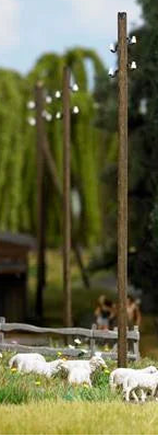 BUS1569 5 wooden telegraph poles