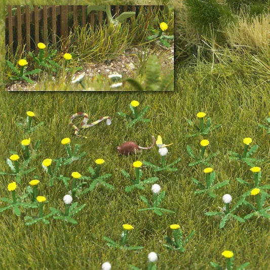 BUS1220 Dandelions
