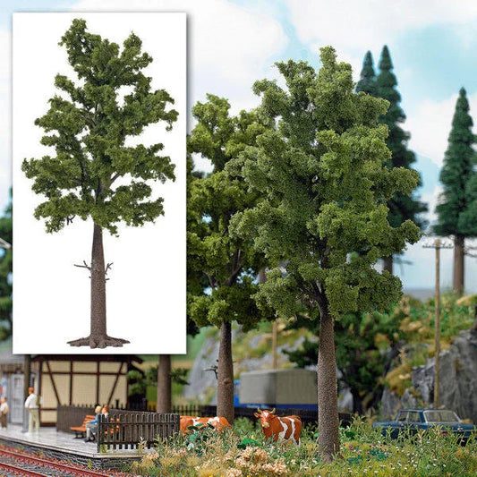 BUS10620 Deciduos Tree