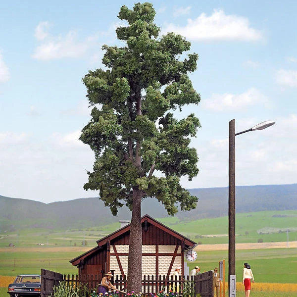 BUS10621 Deciduous Tree