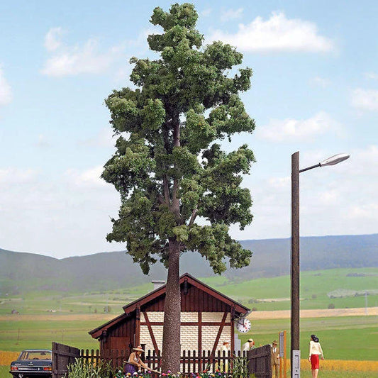 BUS10621 Deciduous Tree