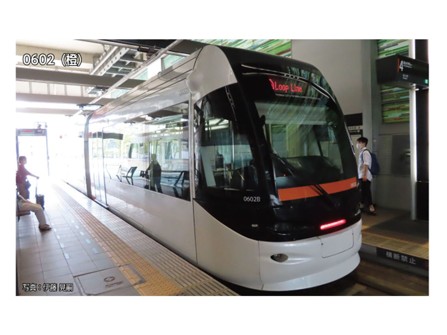 Toyama Chiho Railroad Centram D9002 Silver