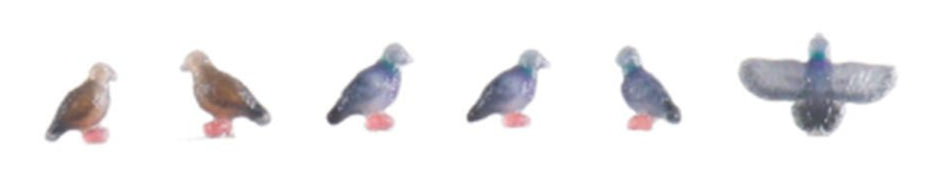 Pigeons (6) Figure Set