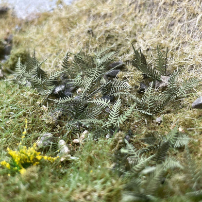 Summer Bracken / Fern Plants Model Kit