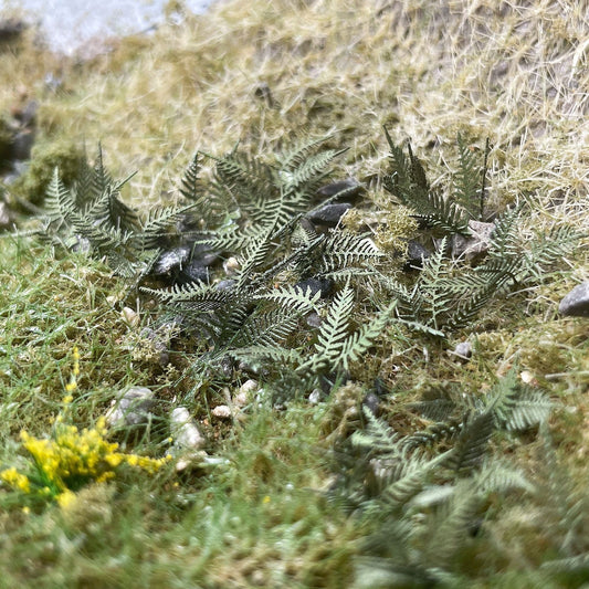 Summer Bracken / Fern Plants Model Kit