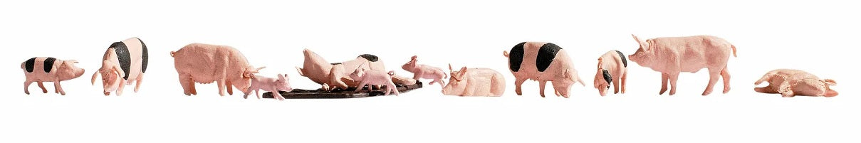 Figures - Pigs (12)