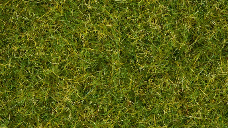 Summer Meadow Grass Blend (50g)