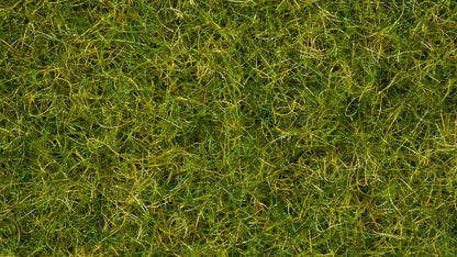 Summer Meadow Grass Blend (50g)