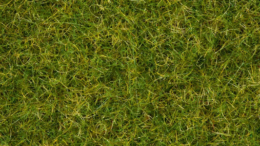 Summer Meadow Grass Blend (50g)