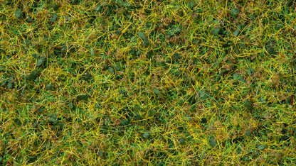 Cow Pasture Grass Blend (50g)