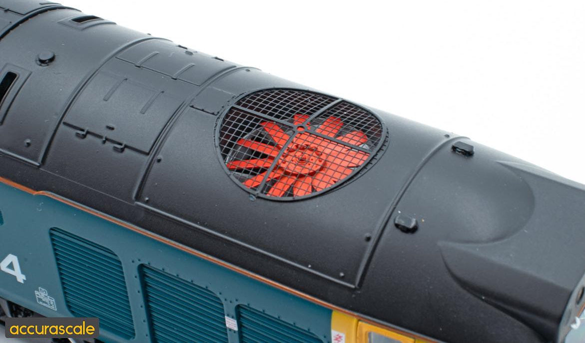 Class 50014 'Warspite' BR Blue Large Logo (w/Black Roof) Diesel Locomotive (DCC Sound)