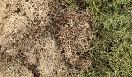 All Game Terrain - Winter Mix EZ Bushes