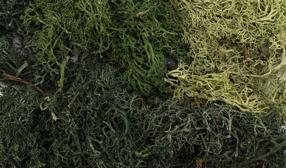 All Game Terrain - Summer Mix EZ Bushes