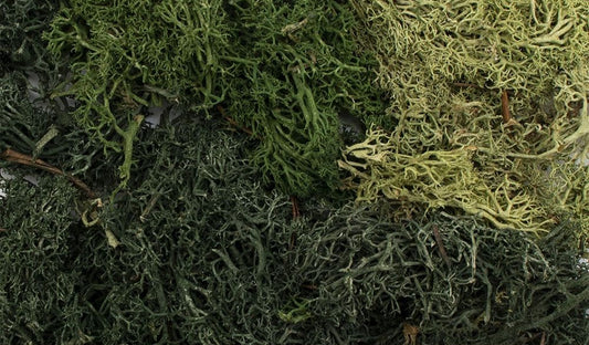 All Game Terrain - Summer Mix EZ Bushes