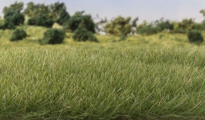 All Game Terrain - 7 mm Medium Green Static Grass