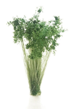 All Game Terrain - Dark Green Shrubs Tufts