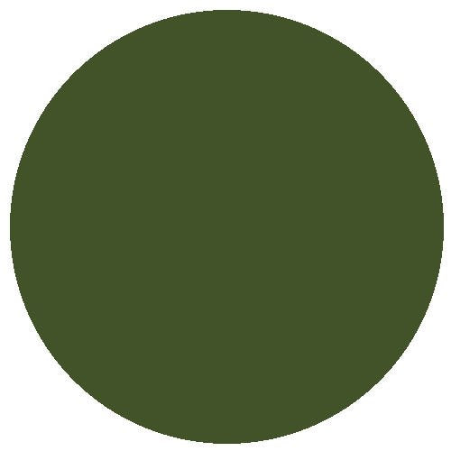 BR Multiple Unit Dark Green (acrylic) (18ml)