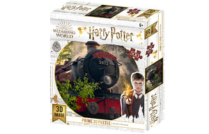 Harry Potter 'The Hogwarts Express' 500 Piece 3D Jigsaw Puzzle