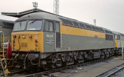 Class 56 031 'Merehead' BR Dutch Grey/Yellow Diesel Locomotive