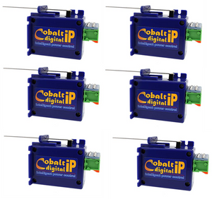 Cobalt iP Digital Point Motor (6 Pack)