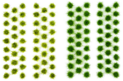 Grass Tufts - Summer (104)
