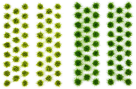 Grass Tufts - Summer (104)