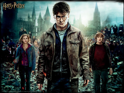 Harry Potter 500 Piece 3D Jigsaw Puzzle