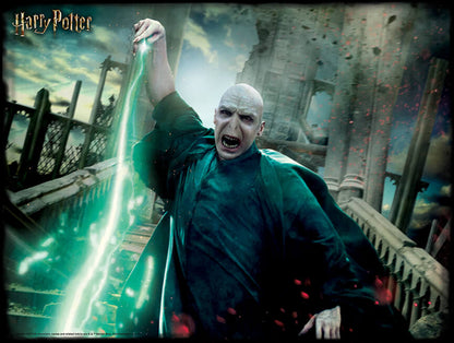 Harry Potter 'Voldemort' 500 Piece 3D Jigsaw Puzzle