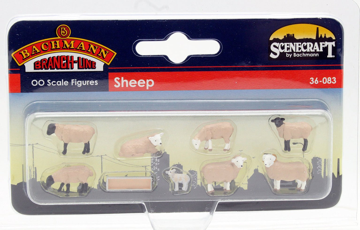 Sheep