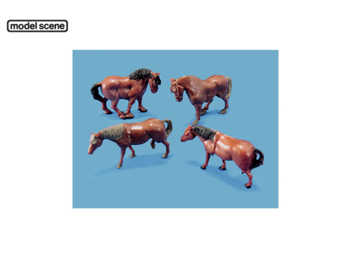 Horses and Ponies (Pack of 4)