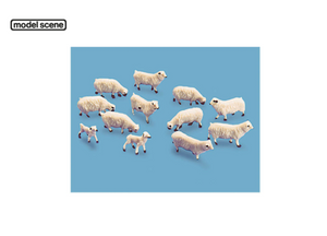 Sheep and Lambs (12 items)