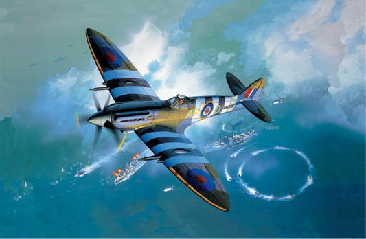 Spitfire Mk XIVc Model Kit