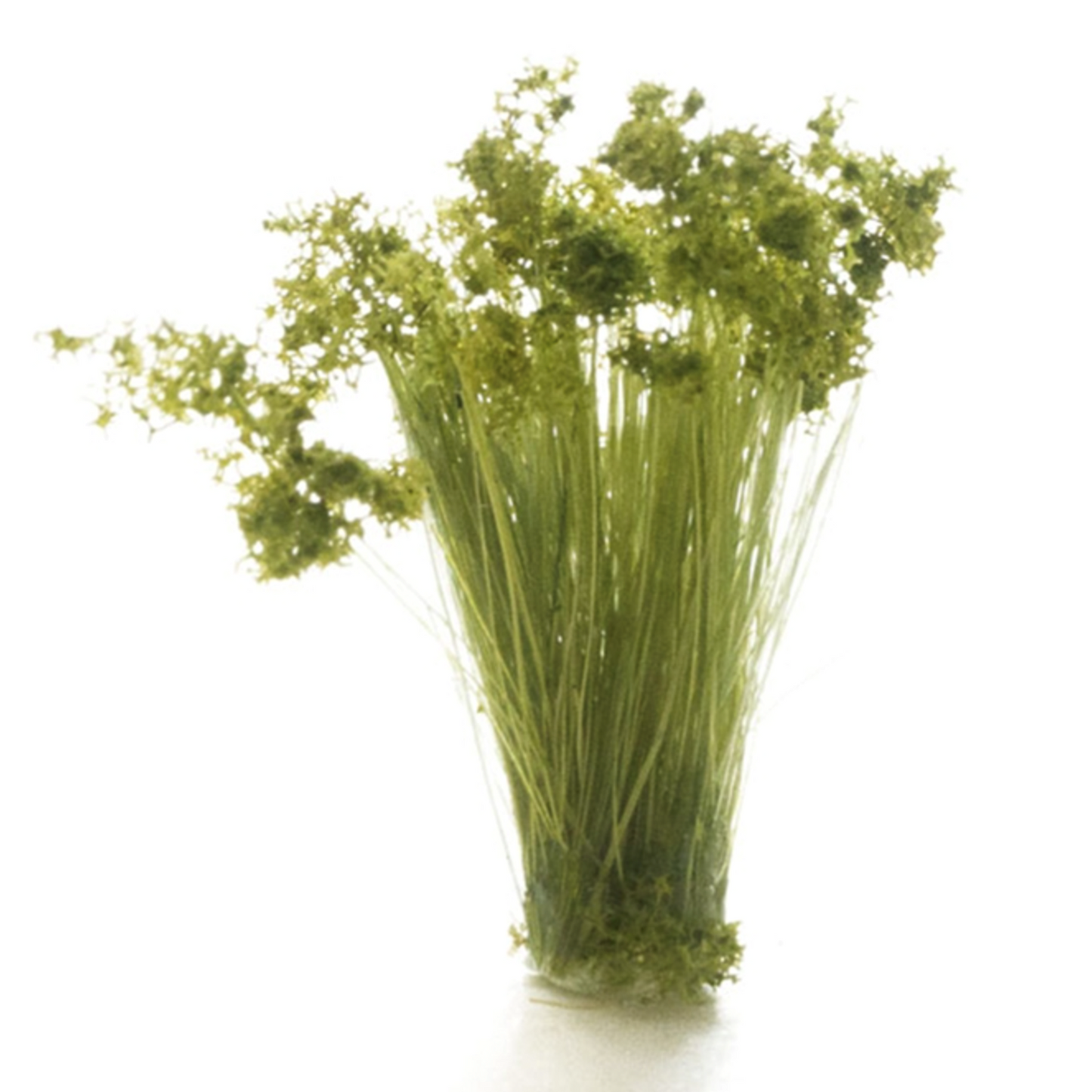 FS777 Peel ‘n’ Place Medium Green Prairie Grass