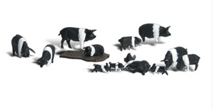 Scenic Accents Figures - Hampshire Pigs 