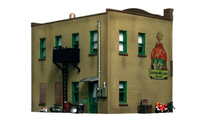 BR5053 Woodland Scenics - HO Scale Buildings - Dugan's Paint Store