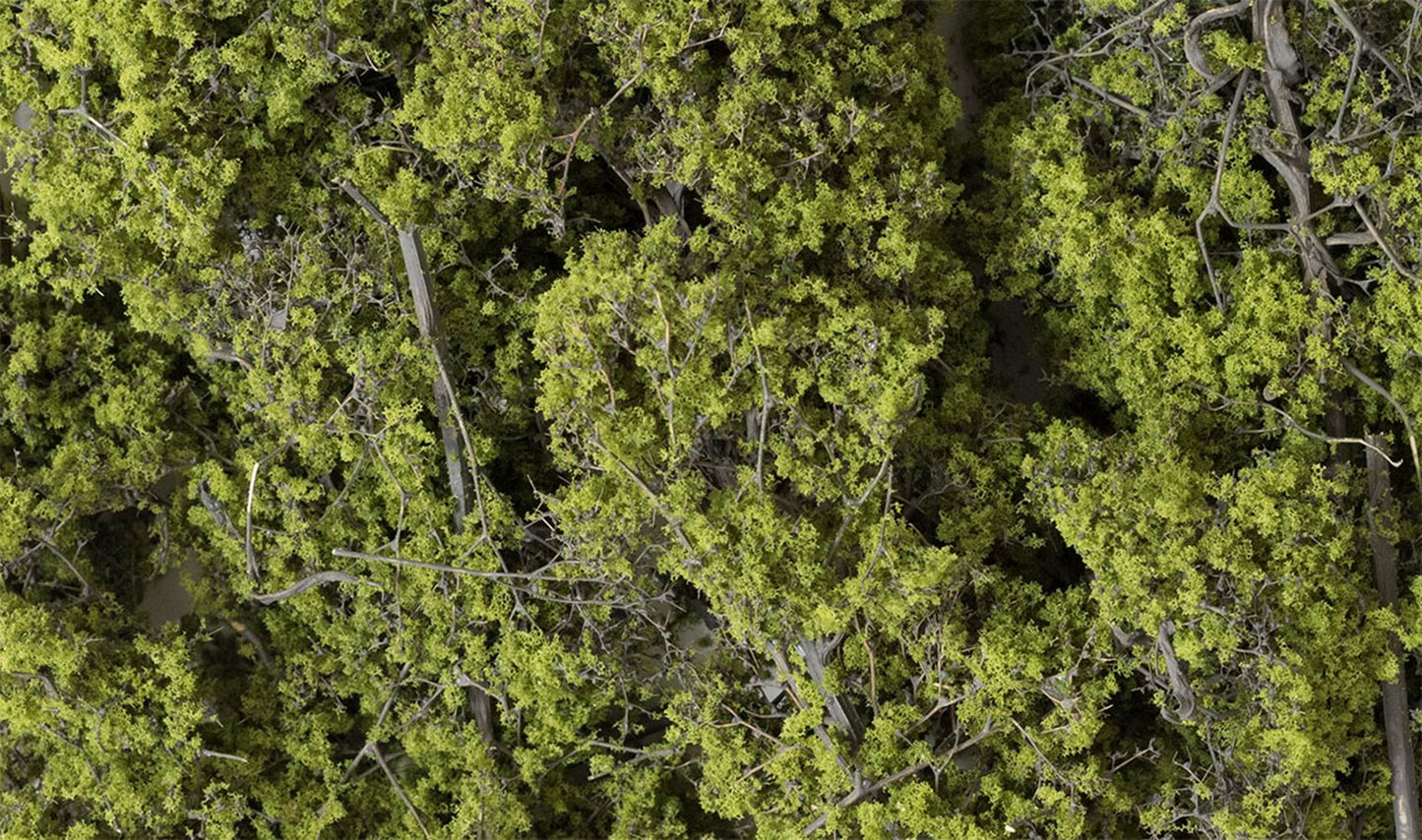 Light Green Fine Leaf Foliage