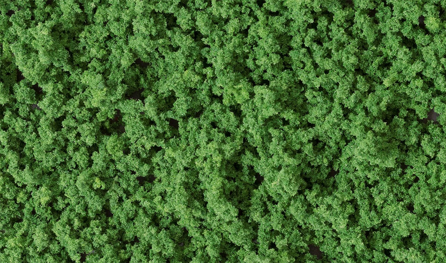 Medium Green Underbrush