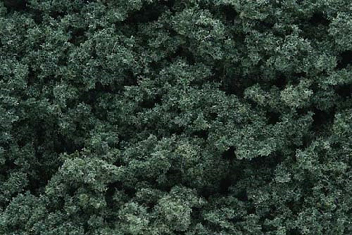 Dark Green Foliage Clusters