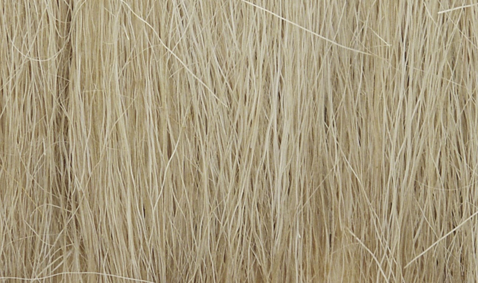 Natural Straw Field Grass